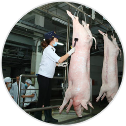 Slaughter hung, processed by European standards