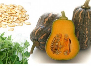 ""Tác dụng thần kỳ của Bí đỏ Lọ Lem" " 