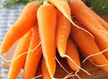 Cà rốt - “Vũ khí” mới phòng bệnh ung thư tuyến tiền liệt