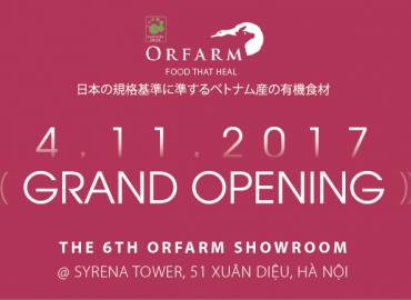 Chương trình sale Khai trương showroom 51 Xuân Diệu