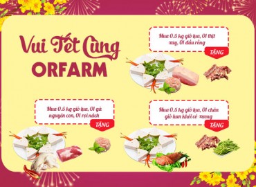 Sắm GiÒ LỤA thưởng TẾT