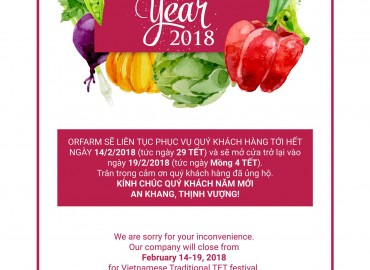 Lịch phục vụ tết của Orfarm