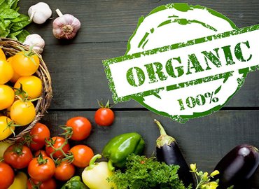 Tổng hợp 5 chứng nhận tiêu chuẩn hữu cơ (organic) uy tín trên thế giới