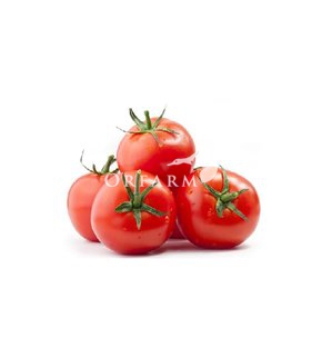 Cà chua Đà Lạt GAP